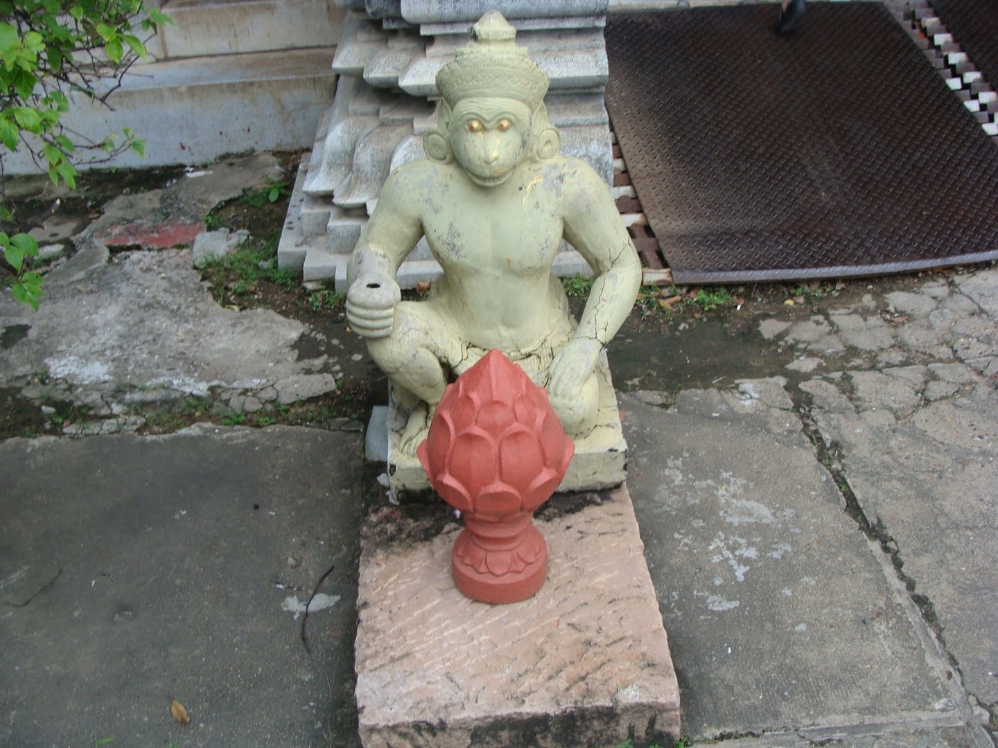 DSC05642