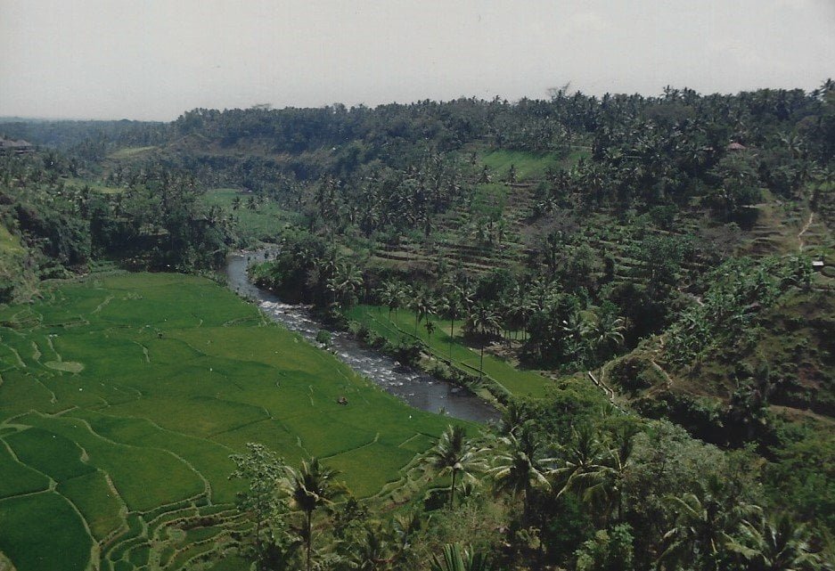 RKR 1991-9 Bali3