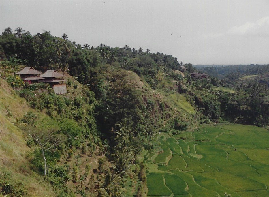 RKR 1991-9 Bali4