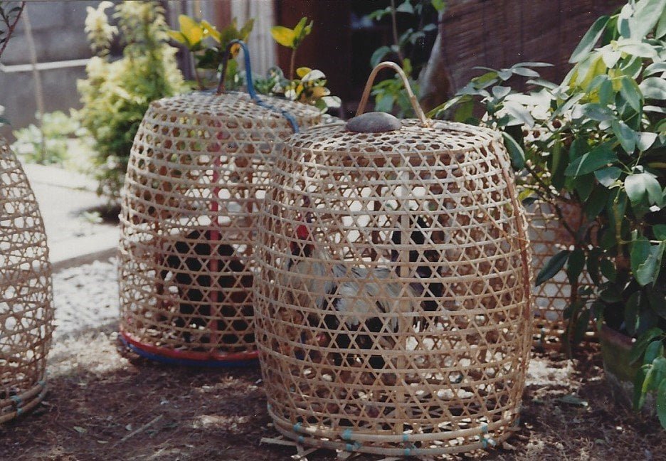 RKR 1991-9 Bali5