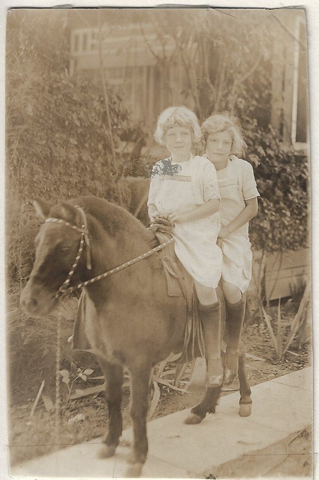 SER 1922 Pony